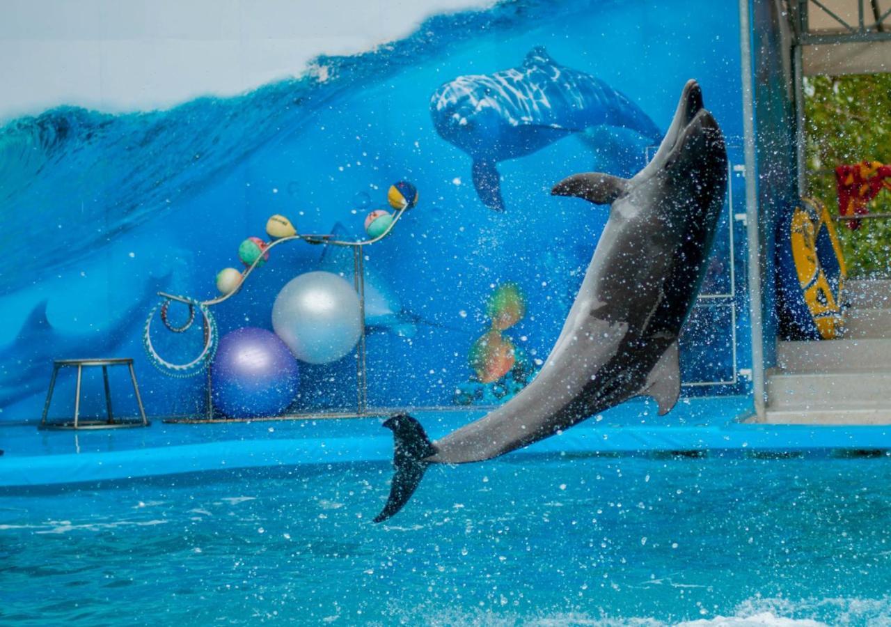 Moevenpick Hotel Apartments Al Mamzar Дубай Екстер'єр фото Dolphin show at the park
